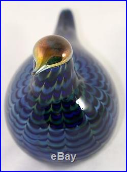 Beautiful RARE Iittala Oiva Toikka art glass bird (1998-2004) PILVIKANA, retired