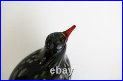 (FEDEX) Oiva Toikka Annual Bird Wildwood Cuckoo 2003 Glass Iittala Exellent