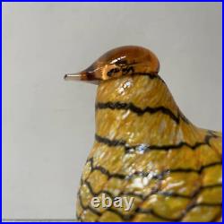 Iittala Bird Swamp Curlew Oiva Toikka Design2006 Large Glass Art 20cmJP