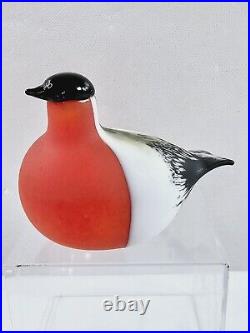 Iittala Birds Bullfinch Punatulkku by Toikka Oiva Toikka 1972 Hand Blown with Box