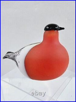 Iittala Birds Bullfinch Punatulkku by Toikka Oiva Toikka 1972 Hand Blown with Box