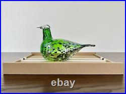 Iittala Birds by Toikka Green Dove 2020 BNIB