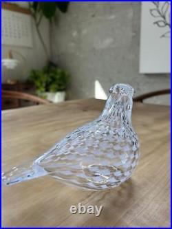 Iittala Birds by Toikka Mediator Dove White Clear