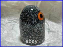 Iittala Birds by Toikka Owl chick Brown Near unused from Japan