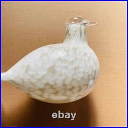 Iittala Glass Bird Oiva Toikka No special box