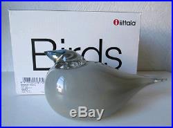 Iittala OIVA TOIKKA Art Glass Bird, Gray Jay, New In Box