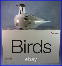 Iittala OIVA TOIKKA, Art Glass Bird, Sumusirri, Limited Edition, New In Box