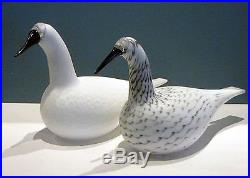 Iittala OIVA TOIKKA Glass Birds - two Karelia Whooper Swans - # MATCHED SET