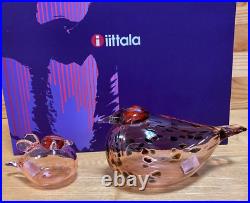 Iittala Oiva Bird Mother & Baby Salmon Pink Set of 2 Rare
