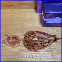 Iittala Oiva Bird Mother & Baby Salmon Pink Set of 2 Rare