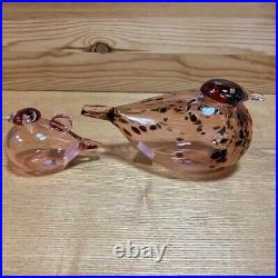 Iittala Oiva Bird Mother & Baby Salmon Pink Set of 2 Rare