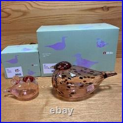 Iittala Oiva Bird Mother & Baby Salmon Pink Set of 2 Rare