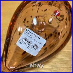 Iittala Oiva Bird Mother & Baby Salmon Pink Set of 2 Rare