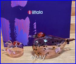 Iittala Oiva Bird Mother & Baby Salmon Pink Set of 2 Rare