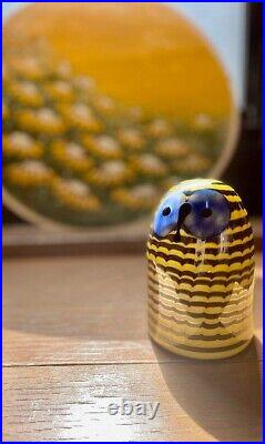 Iittala Oiva Toikka Glass Bird Northern Owl Owlet Scope RARE with Box 10.5cm JP