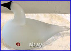 Iittala Signed Rare Frosted Glass Bird Swan Oiva Toikka Paperweight