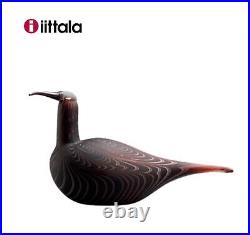 Iittala Toikka Bird Birds 1998 Curlew 195x350 mm/ 7.68 x 13.78 Inch NEW Finland