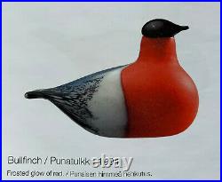 Iittala Toikka Glass Bird 1994 Bullfinch Punatulkku NEW 50x115mm/1.97x4.53 Inch