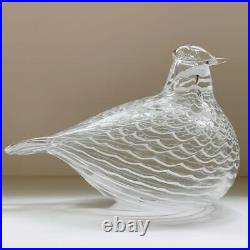 NEW Iittala Birds by Toikka Mediator Dove Interior Finland Annual Glass F/S