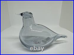 New iittala Oiva Toikka Little Tern Clear Recycled Glass Bird Figurine, Finland