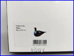 Oiva Toikka CAPERCAILLIE METSO design glass bird Iittala Finland (NEW)