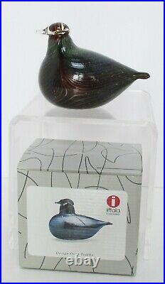 Oiva Toikka Iittala Finland Northern Duck, Art Glass Bird in Original Box