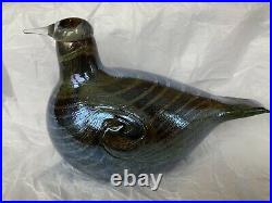 Oiva Toikka Iittala Glass Bird Long-tailed duck Brand New Boxed