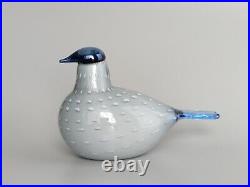 Oiva Toikka Pilvikki Special Bird Glass Art by Iittala Finland