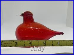 Oiva Toikka Tern Tirri Ruby Red Bird Finland Nuutajärvi iittala