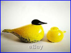 Oiva Toikka Unique Bird Set Smew Yellow and Baby Iittala Glass Design NEW