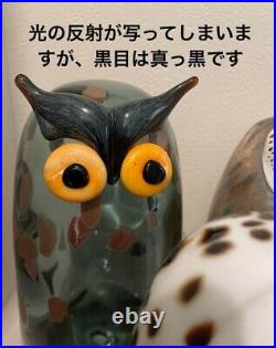 Oiva Toikka for Iittala Bird Long-eared Owl Sarvipollo Signed Gray Pine-green