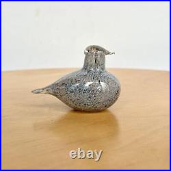 Oiva Toikka iittala Golden Crested Kinglet small Grey Birds Expedite Japan