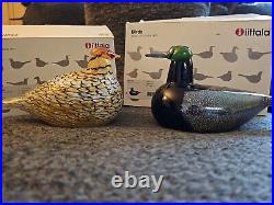 Oiva toikka iittala glass birds