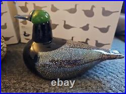 Oiva toikka iittala glass birds