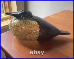 Ovia Toikka Old Female Eider Sea Duck (The Haahka)/Nuutajarvi of Finland/NICE